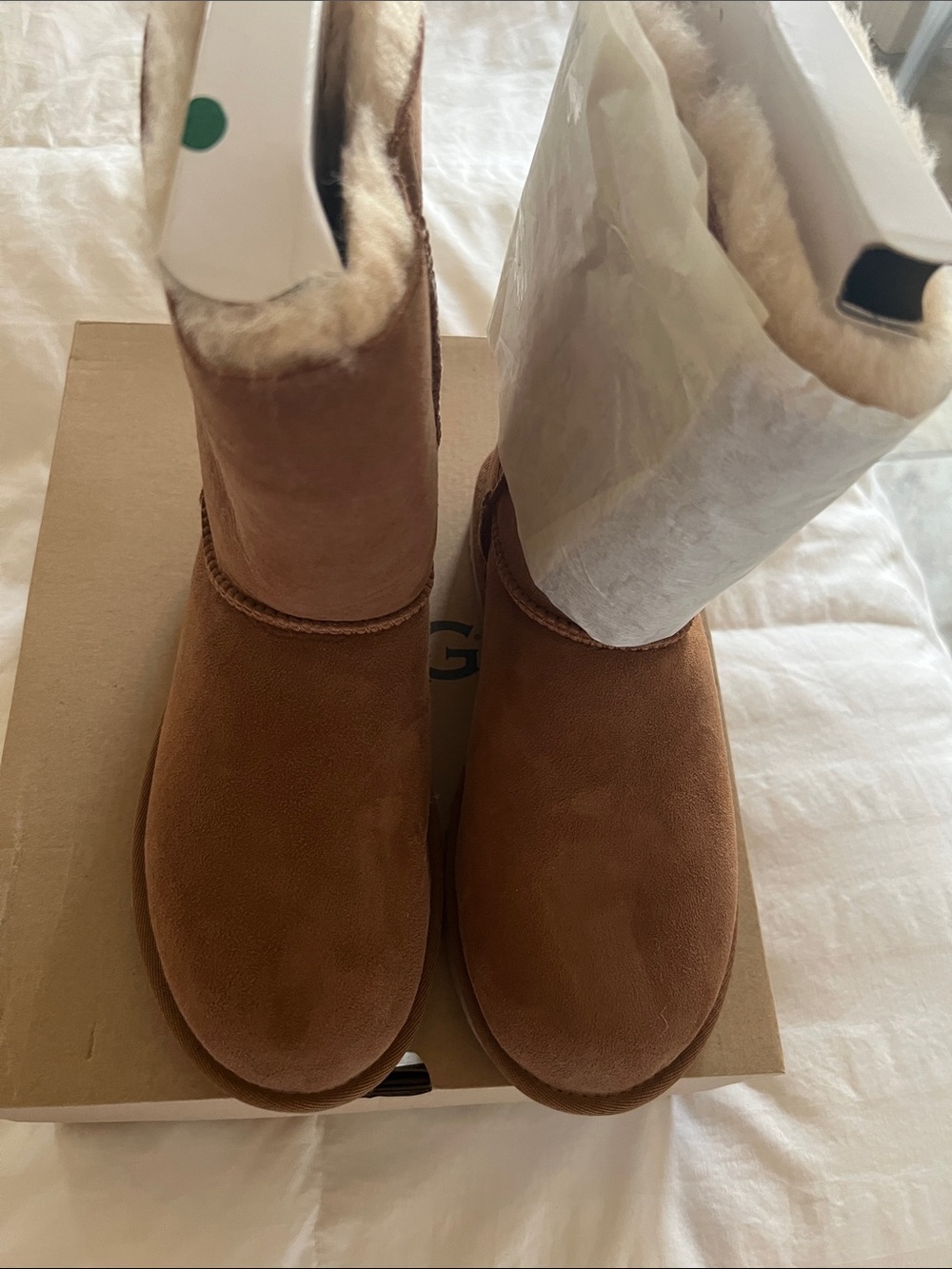 UGG Classic Tall Boot in Chestnut Brown